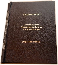 What is research thesis image